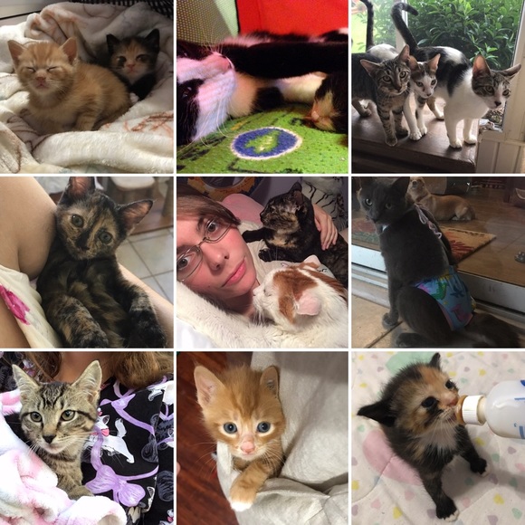 Meet your Posher, Lovelynn! - Picture 2 of 7